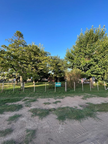 Imagen 3 de 6 de En Venta Fracción De Chacra Sobre Asfalto
