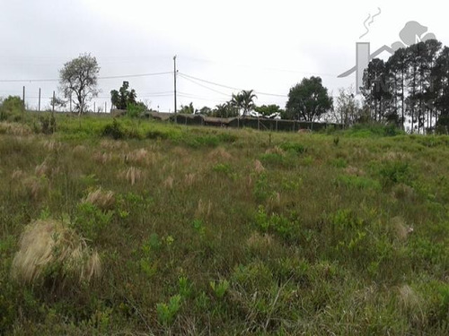 Imagem 5 de 15 de Cod 4008 - Belíssimo Terreno Pronto Para Construir - 4008