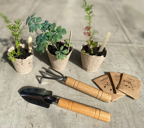 Imagen 4 de 5 de Kit Jardinería Primera Huerta Orgánica