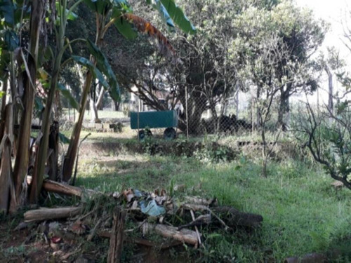 Imagem 2 de 9 de Ref.: 16439 - Chacara Em Osasco Para Venda - 16439
