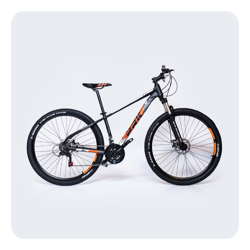 Mountain Bike Instinct R29 21v  