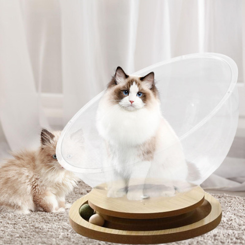 Cama De Cápsula Transparente Casa Para Gatos Mdf L
