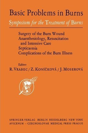 Basic Problems In Burns - R. Vrabec (paperback)