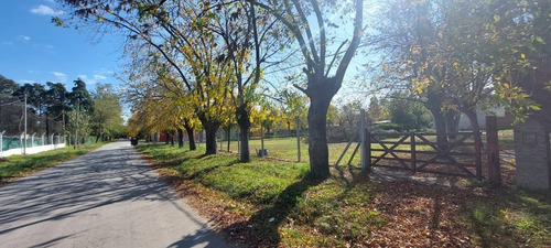 Imagen 2 de 6 de Venta Terreno B°elli