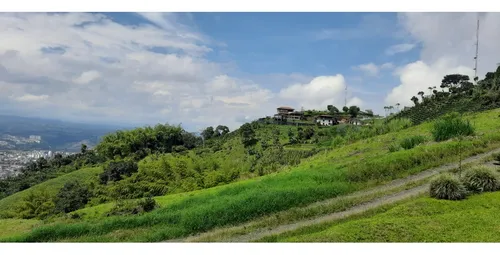 Venta Lotes - Vereda La Esperanza - Pereira