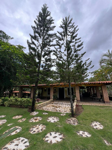 Finca En Tinaquillo, Via Vallecito, Cojedes