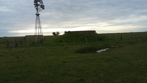 Imagen 5 de 6 de Campo En Venta U$s 330000 84 Has A 150 Minutos De Caba