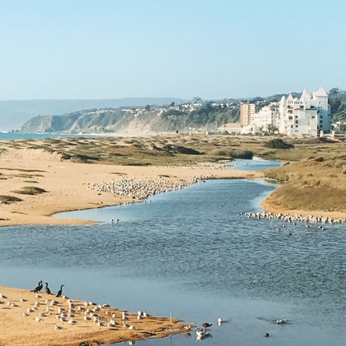 Hermoso Complejo De 4 Cabañas Con Vista Al Mar