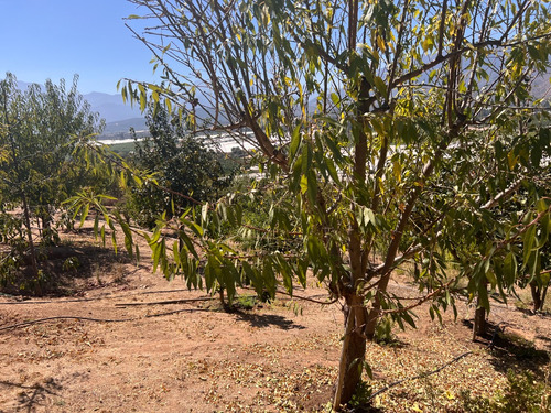 Parcela En Condominio Con Una Gran Vista