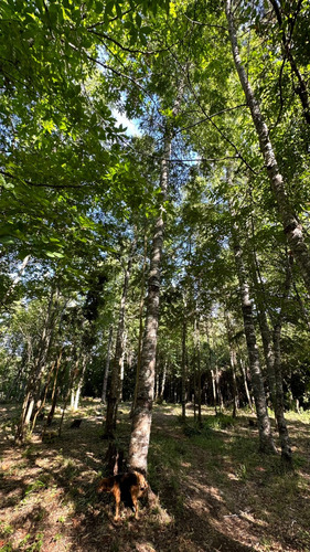 Parcela Urbana En Venta, Gorbea