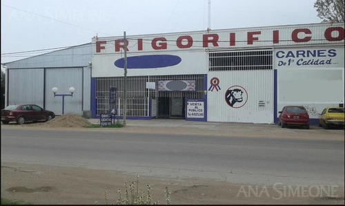 Imagen 2 de 10 de Local Para Frigorifico O Varias Utilidades En San Rafael- Mendoza