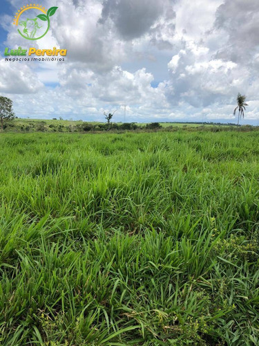 Imagem 5 de 8 de Fazenda À Venda Em Arapoema - To - 5.082 Hec/planta Lavoura De Soja - 1914
