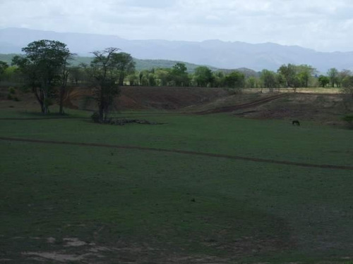 Imagen 1 de 9 de Venta De Finca En Los Cardones Ve02-021lc-mt