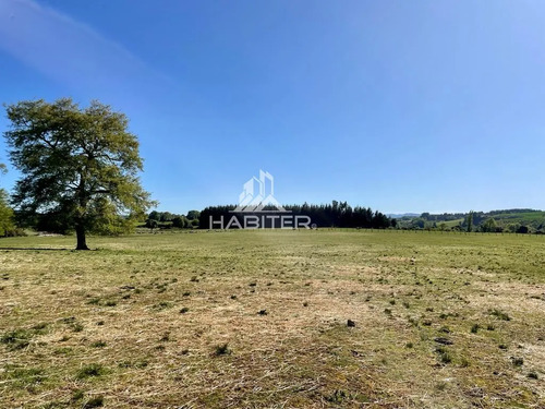 Cod35266 Vende Agrícola Campo De 36 Ha. Indigena En Lautaro