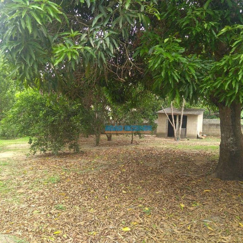 Imagem 12 de 12 de Casa Com 2 Dormitórios À Venda, 62 M² - Buraco Do Pau - Araruama/rj - Ca1312