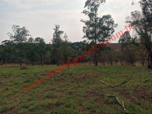 Imagem 18 de 19 de Venda - Chácara - Colina Santa Izabel (tupi) - Piracicaba - Sp - D0440