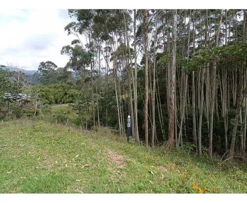 Lote En Venta Sector Llanogrande- Parcelación Vía Don Diego