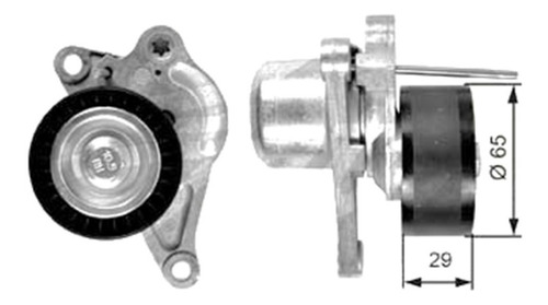 Tensor Correa Alternador Renault Koleos 2.0 Diesel Motor M9r