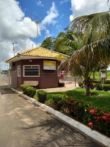 Imagem 10 de 10 de Terrenos - Ref: V16905