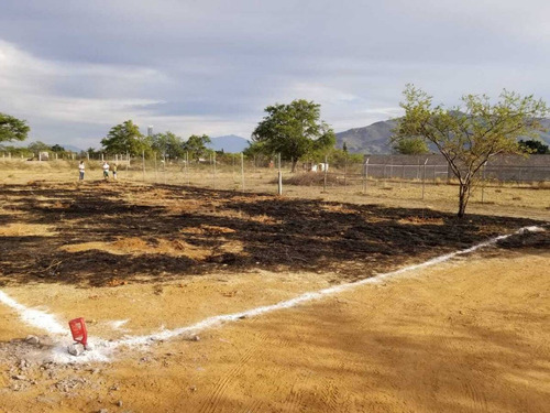 Imagen 5 de 11 de En Venta Terreno En San Agustín Yatareni, Oaxaca.