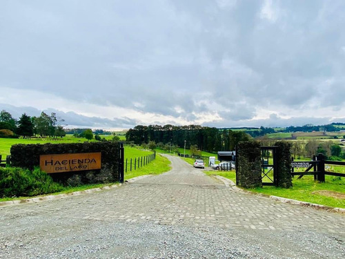 Parcela Con Vista Lago Llanquihue  (9172)