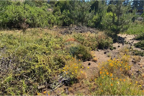 Terreno 1.500m² Alta Plusvalía En Reñaca Los Pinos