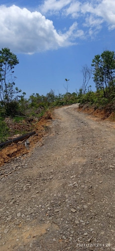 Imagem 17 de 27 de 01- Terrenos Com Aguá Já Liberado Em Mogi Das Cruzes ! Documentação Com Procedencia.
