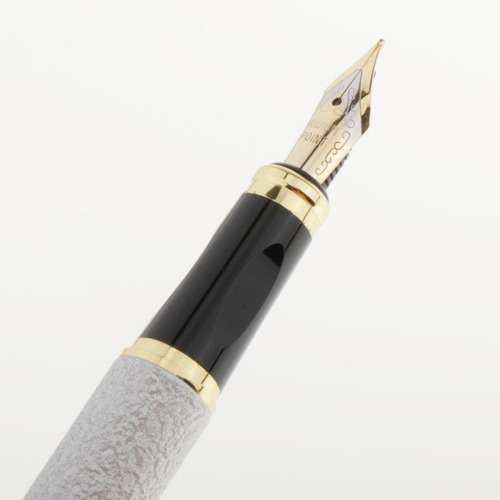 Estilográfica De Escritura Profesion De Caligrafía Suave