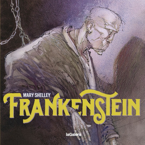 Frankenstein - Shelley, Mary Wollstonecraft - *