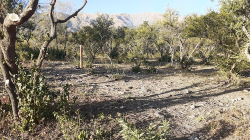 Imagen 4 de 5 de Lotes En Venta A Una Cuadra De Avenida Del Sol, Merlo.