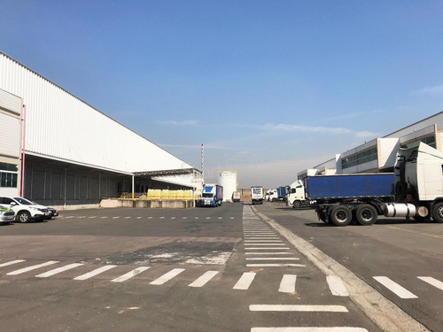 Imagem 2 de 11 de Galpão Para Aluguel Em Jardim Santa Carolina (nova Veneza) - Ga002656