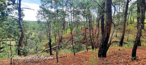 Una Hectárea A 35 Minutos De Avándaro