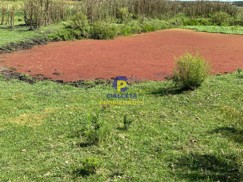 14 Hectáreas En Canelones