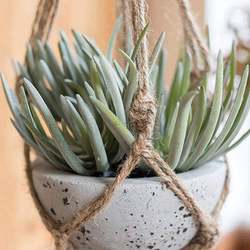 Rascador Rope Twine Cat