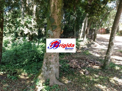 Imagem 5 de 5 de Ótimo Terreno A Venda No Colibri Ii, Perto Km 26 Raposo , Cotia! - Te11