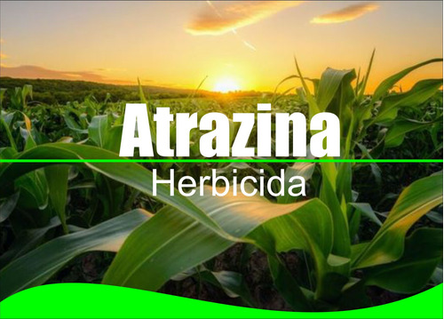 Atrazina Liquida Herbicida Hoja Ancha