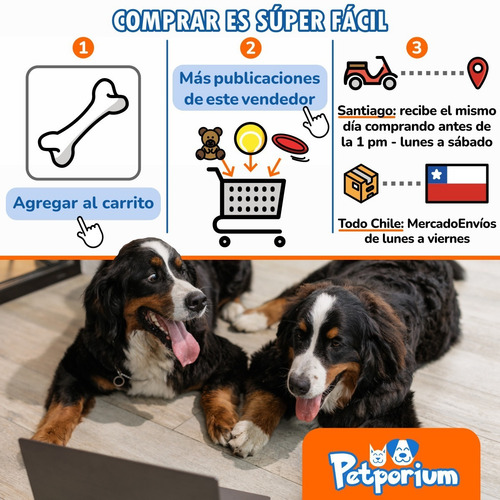 Imagen 6 de 7 de Juguete Para Perro Pelota Birthday Kong Sonido Pack3 Talla M