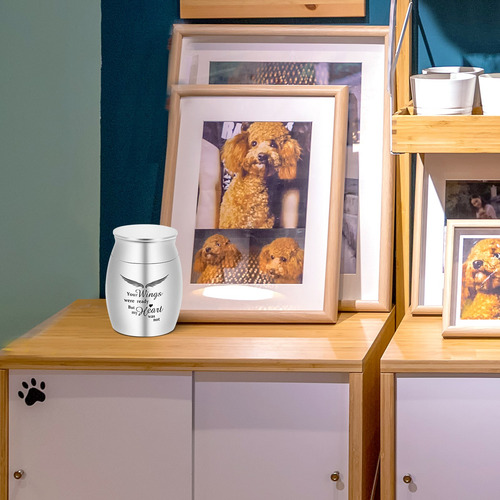 Urna De Cremación Pequeña Para Cenizas De Mascotas Mini Urna