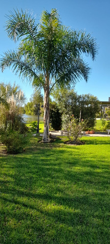 Dueño Directo. Vendo Casa Dueño Directo, Vende En El Canton , Casa Moderna De Diseño Minimalista A La Laguna Con 40m De Costa Propios, Parque Y Piscina Con Solarium