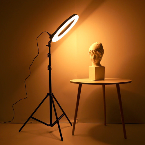 Aro De Luz Led 26cm+soporte Celular+trípode 2.10 M +20 Kn95
