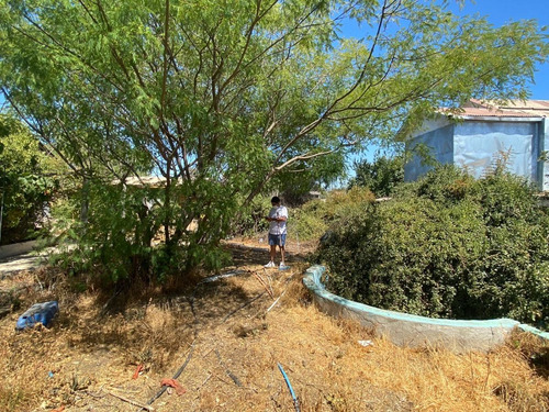 Imagen 5 de 7 de Terreno Para Proyecto Inmobiliario, San Carlos De Belloto,