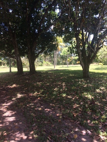 Melhor Área P/loteamento 91m Beira Pista, Granja 5.05 Hec, Guabiraba, Aceito Imóvel Ou Carro - Ch00009 - 67721727