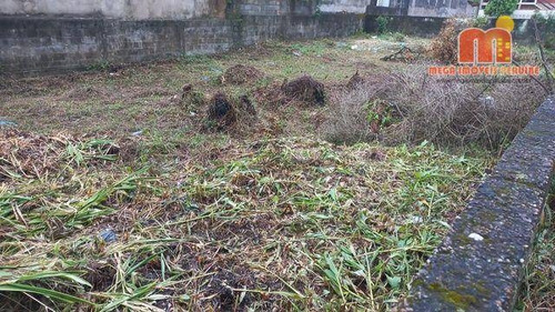 Imagem 3 de 6 de Oportunidade!!! Terreno 313m² - Te0953