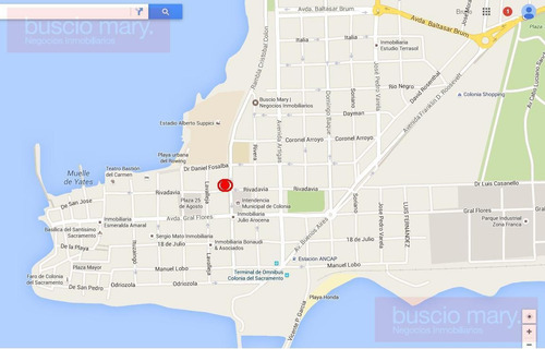 Imagen 20 de 20 de Local - Colonia Del Sacramento