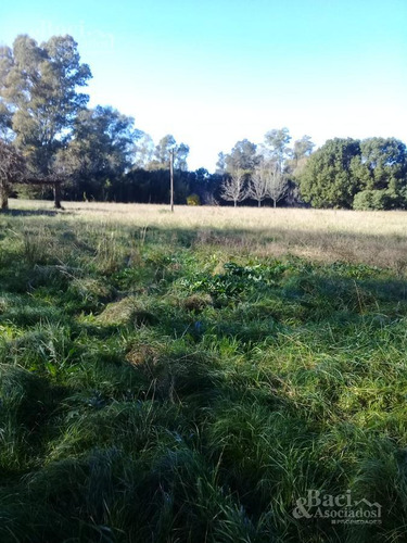 Chacra - Canning (ezeiza)
