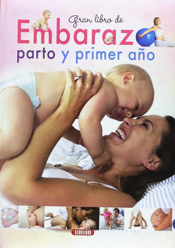 Gran Libro De Embarazo, Parto Y Primer Año (t.d)