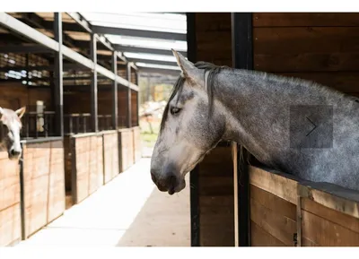 Lote y casalote en venta