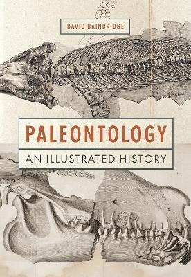 Libro Paleontology : An Illustrated History - David Bainb...