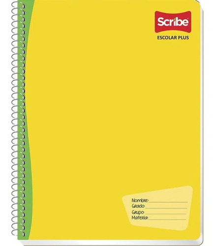 Cuaderno Profesional 5pzs Scribe Cuadro Chico 100 Hojas