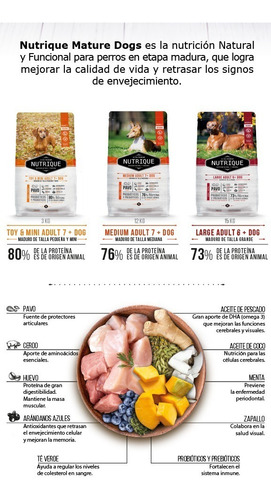 Imagen 8 de 9 de Alimento Nutrique Medium Puppy para perro cachorro de raza mediana sabor pavo en bolsa de 12 kg